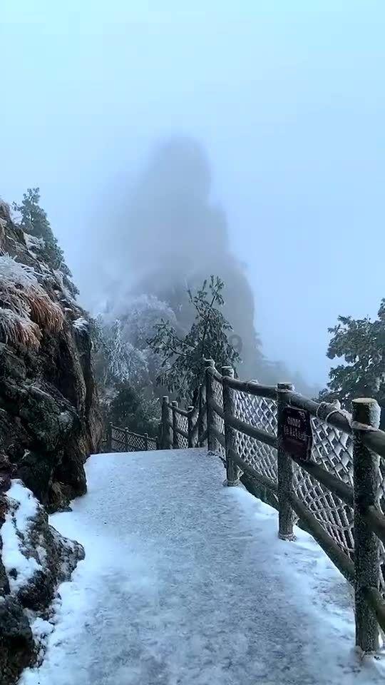 丧尸围城4