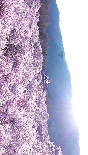 男生不介意你喝过的水是为什么游戏画面