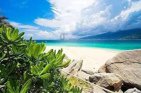第二届全国(江西省)“乡村振兴青年先锋”颁奖活动暨事迹宣讲会举行