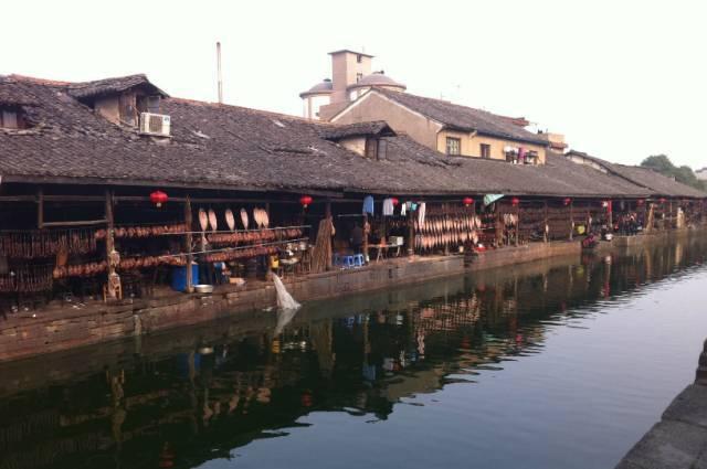 旅途/风之旅人