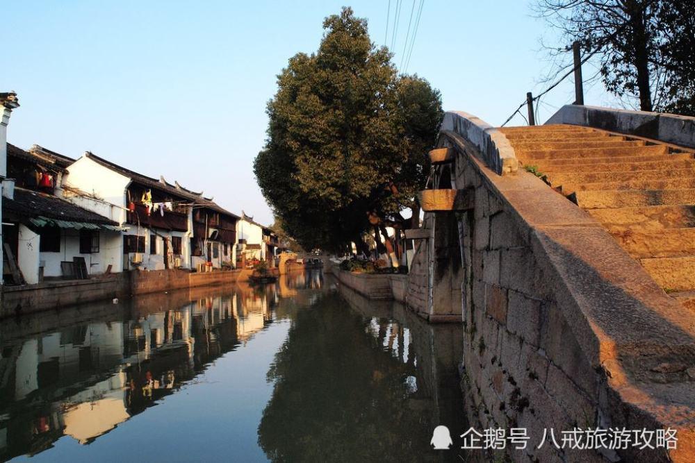 细胞分裂4