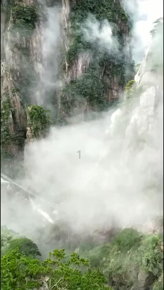 青蛙魔术师